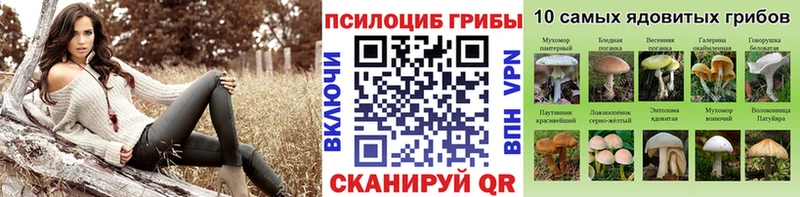 Галлюциногенные грибы Cubensis Котово